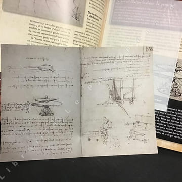 Léonard de Vinci - Le génie visionnaire. DENIZEAU, Gérard