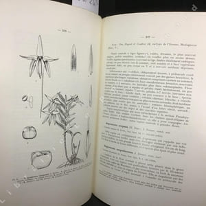 Adansonia Tome 10. Fascicule 1 : La flore tropicale tertiaire de Sahara - Lycopodiales de la région malgache - Umbelliflorea du Cameroun - Orchidaeceae de Madagascar - ... 
