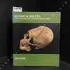 Histoire(s) de squelettes - Arch&eacute;ologie, m&eacute;decine et anthropologie en Alsace. SCHNITZLER, Bernadette ; LE MINOR, Jean-Marie; LUDES, Bertrand; BOES, ...