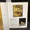 Art d'Asie, Paris, Vendredi 7 d&eacute;cembre 2007 - Catalogue de vente aux ench&egrave;res . CHRISTIE'S 