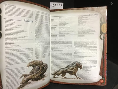Dungeons & Dragons - Manuel des Monstres - Livre de règles III