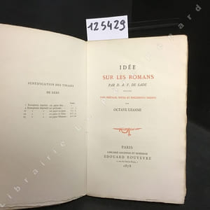Idée sur les romans