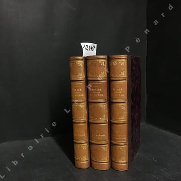 Voyage autour du monde. Tome I : Australie - Tome II : Java, Siam, Canton - Tome III : Pékin, Yeddo, San Francisco . Comte de Beauvoir