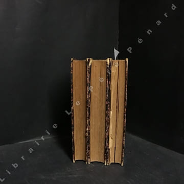 Voyage autour du monde. Tome I : Australie - Tome II : Java, Siam, Canton - Tome III : Pékin, Yeddo, San Francisco . Comte de Beauvoir