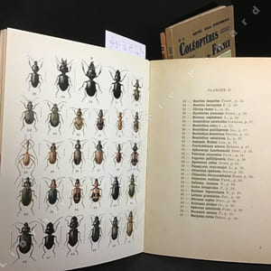 Atlas des coléoptères de France : Fascicule I, Carabes, Staphylins, Dytiques - Fascicule II, Ténébrions, Buprestes, Lampyres, Coccinelles, Taupins, Longicornes - Fascicules III, Longicornes, Chrysomèles, Charançons (Complet)