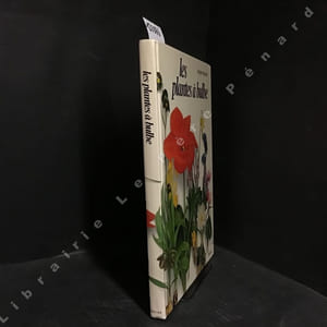 Les plantes à bulle