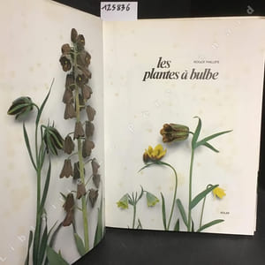 Les plantes à bulle