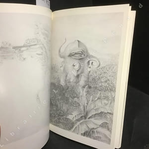 Dessins désordonnés (1908-1960)