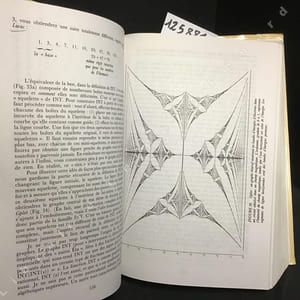 Gödel, Escher, Bach. Les Brins d'une Guirlande Eternelle.