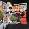 Malicious Resplendence: The Paintings of Robt. Williams. WILLIAMS, Robert - Introduction de Walter Hopps - Textes de C.R. Stecyk