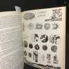 Elemental N&deg; 1 : Textes d’&Eacute;douard Jaguer, Georges Roquefort, Jean-Louis Roure, Roger Galizot, Jean Claude Silbermann. Illustrations de Christian ...