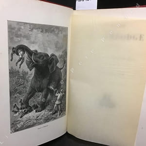 Un hiver au Cambodge. Chasse au tigre, à l'éléphant et au buffle sauvage. Souvenirs d'une mission officielle remplie en 1880-1881. - Contes merveilleux: La Caravane. Le Cheik. L'Auberge du Spessart ; traduction de Louis de Hessem