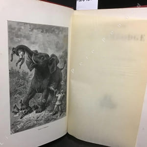 Un hiver au Cambodge. Chasse au tigre, à l'éléphant et au buffle sauvage. Souvenirs d'une mission officielle remplie en 1880-1881. - Contes merveilleux: La Caravane. Le Cheik. L'Auberge du Spessart ; traduction de Louis de Hessem