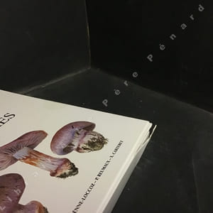Atlas des cortinaires - Pars XVIII : Genre Cortinarius (Pers.) Gray, Sous-genre Telamonia (Fries) Trog, Section Bovini M.M. Moser, Section Brunnei Kühner & Romagnesi ex Melot, Sous-genre Hydrocybe (Fries) Trog, Section Fulvescentes Melot