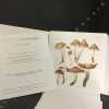 Atlas des cortinaires - Pars XVII : Sous-genre Phlegmacium (Fr.) Trog, Section Fulvi Moser & Horak, Sous-genre Hydrocybe (Fr.) Trog, Section Obtusi ...