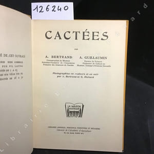 Cactées