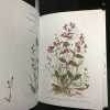 Herbier de nos montagnes - Itin&eacute;raires d'une aquarelliste. DELSAUTE, Mich&egrave;le (Aquarelles et textes) 