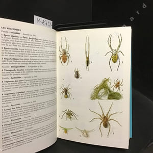 Guide du promeneur dans la nature
