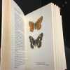 Papillons - Atlas illustr&eacute;. MOUCHA, Josef (Texte de) - CHOC, Vlastimil (Illustrations d'apr&egrave;s les aquarelles de) 