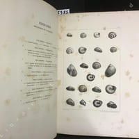 Histoire naturelle des mollusques - Atlas