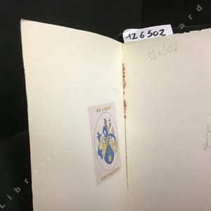 Fête et rite de la confusion