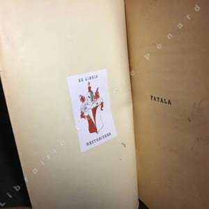Fatala XVI : Poupée d'amour !