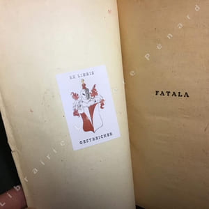 Fatala XIX : Midinette ?...