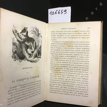 Le petit Buffon illustré. Histoire et description des animaux extraite des oeuvres de Buffon et de Lacépède. . BUFFON - LACEPEDE