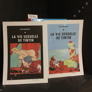La vie sexuelle de Tintin (Pastiche)