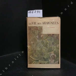 La vie des araignées