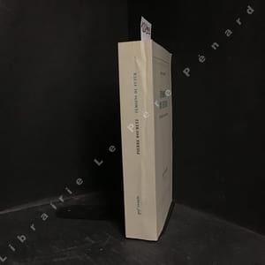 Témoins du futur. Philosophie et messianisme.