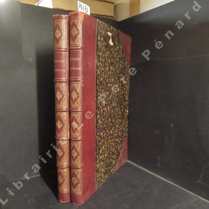 Rouen illustré. Introduction par Charles Deslys. (2 volumes)