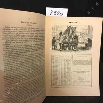 Almanach du Magasin Pittoresque - Dix-septième année. Almanach du Magasin Pittoresque