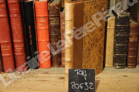 Traité Pratique de l'enluminure des livres d'Heures, Canons d'Autel, Images et Gravures selon la méthode des Anciens d'après les documents du moine ...