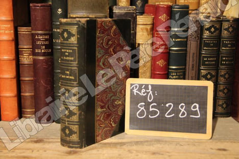 Oeuvres de Alphonse Daudet : Les Rois en exil. DAUDET, Alphonse