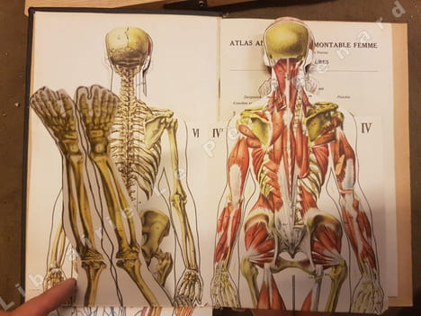 Encyclopédie de la femme et de l'enfant. Guide pratique d'hygiène et de médecine de la femme moderne (2 volumes). HOUDRE, Marie (Docteur Houdré)