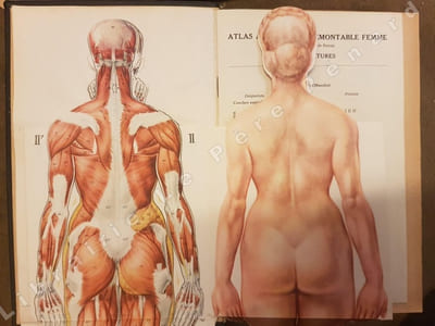 Encyclopédie de la femme et de l'enfant. Guide pratique d'hygiène et de médecine de la femme moderne (2 volumes)