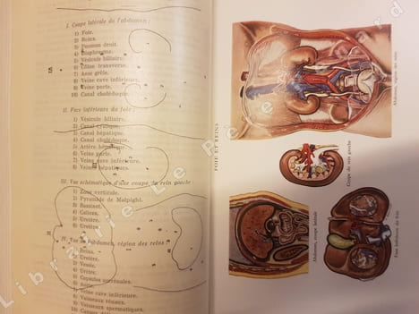 Encyclopédie de la femme et de l'enfant. Guide pratique d'hygiène et de médecine de la femme moderne (2 volumes). HOUDRE, Marie (Docteur Houdré)