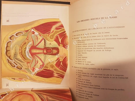 Encyclopédie de la femme et de l'enfant. Guide pratique d'hygiène et de médecine de la femme moderne (2 volumes). HOUDRE, Marie (Docteur Houdré)