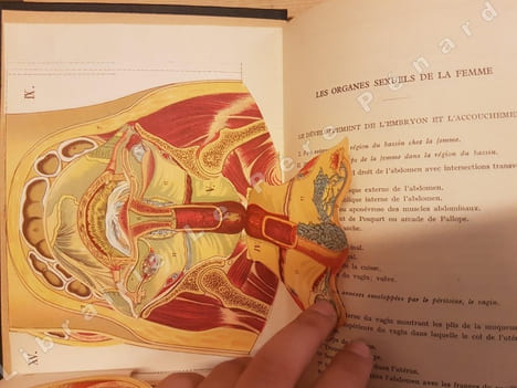 Encyclopédie de la femme et de l'enfant. Guide pratique d'hygiène et de médecine de la femme moderne (2 volumes). HOUDRE, Marie (Docteur Houdré)