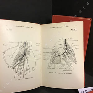 PRECIS D'ANATOMIE. 4 volumes. Tome 1 Atlas: Anatomie des membres, Ostéologie du crâne, de la face, du thorax et du bassin + Texte Tome 1. Tome 2: Atlas Tête et cou - Système nerveux central, Organes des sens. Tome 3: Atlas splanchnologie, thorax, abdomen, bassin.