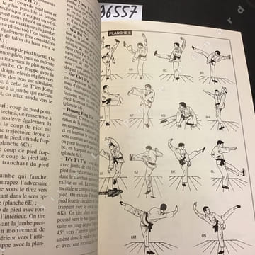 Kung Fu Shaolin: l'histoire, les techniques fondamentales: positions de base, techniques d'attaque avec la main, le coude, la jambe, etc., techniques ...