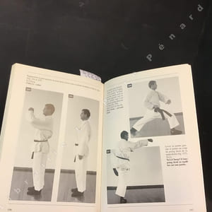 Kung Fu Shaolin: l'histoire, les techniques fondamentales: positions de base, techniques d'attaque avec la main, le coude, la jambe, etc., techniques de parade et de blocage, la boxe des 8 directions, applications pratiques au combat, les armes du shaolin: le sabre. Avec plus de 400 illustrations didactiques