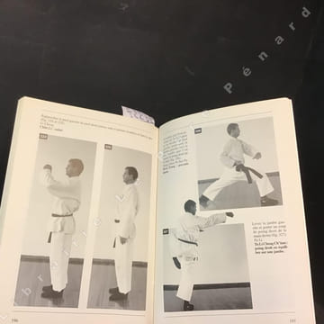 Kung Fu Shaolin: l'histoire, les techniques fondamentales: positions de base, techniques d'attaque avec la main, le coude, la jambe, etc., techniques ...