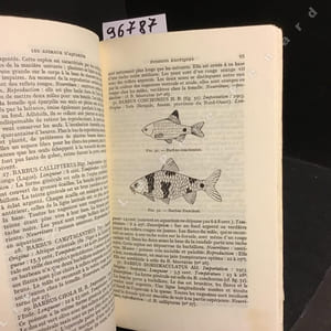 Traité complet de la vie des animaux en aquarium: l'aquarium, l'eau, les plantes, ennemis et maladies des poissons, études biologiques sur les animaux d'aquarium, articulés, batraciens et poissons d'aquarium (495 espèces décrites) Avec 103 figures par M. R. Beck et R. Barré