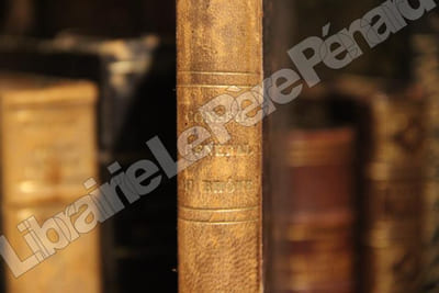 Conseil Général du Département du Rhône. Précédé du rapport de M. Le Sénateur chargé de l'administration du Rhône. Session de 1862-1863.