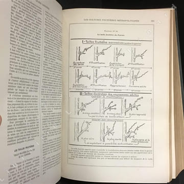 Le bon jardinier. Nouvelle encyclopédie horticole. 151ème édition depuis l'année 1755. . CHOUARD, Pierre et LAUMONNIER, Eugène (Sous la direction de) 