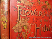 Flowers of the hunt par Finch Mason. Illustrated by the author. - Image 3