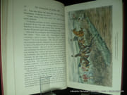 Flowers of the hunt par Finch Mason. Illustrated by the author. - Image 6