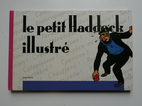 Le petit Haddock illustré. Albert Algoud